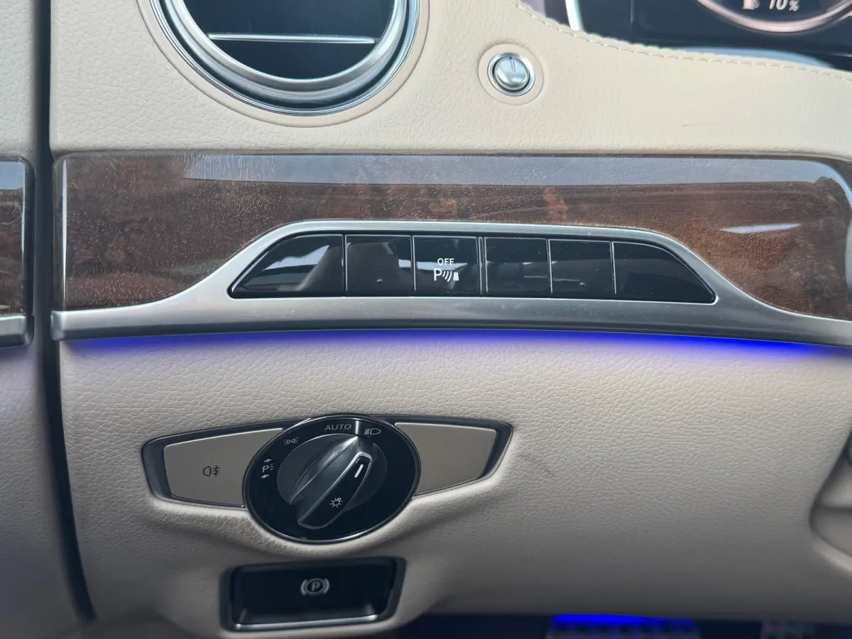 S500 Lang AMG-Styling Panodak 20inch Camera 500