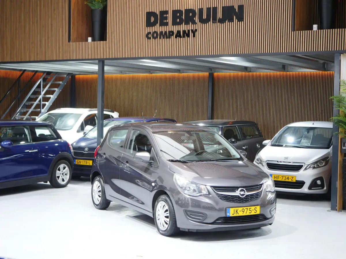 1.0 ecoFLEX Edition | APK | Airco | Cruise Control
