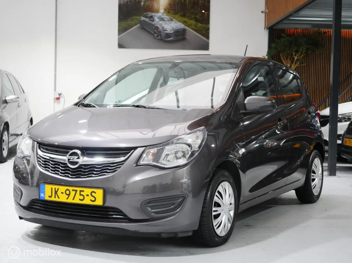 1.0 ecoFLEX Edition | APK | Airco | Cruise Control