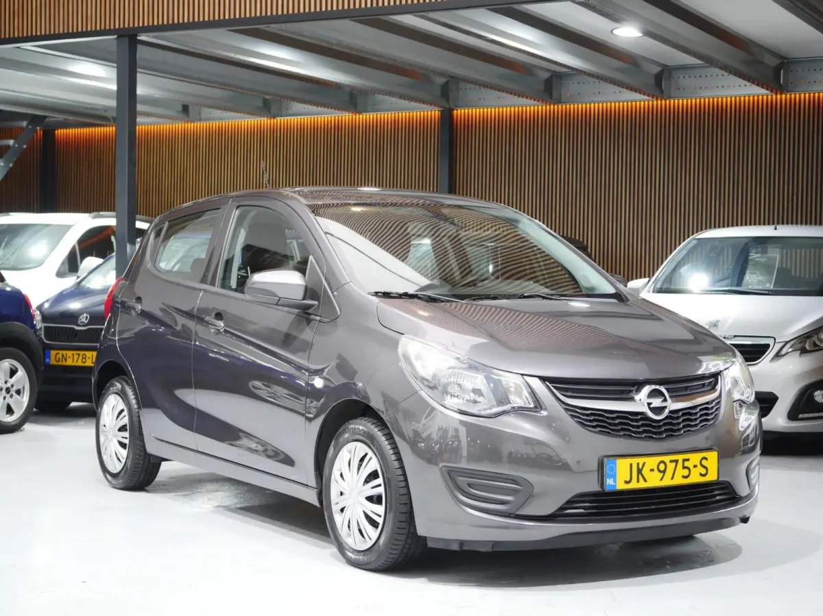 1.0 ecoFLEX Edition | APK | Airco | Cruise Control