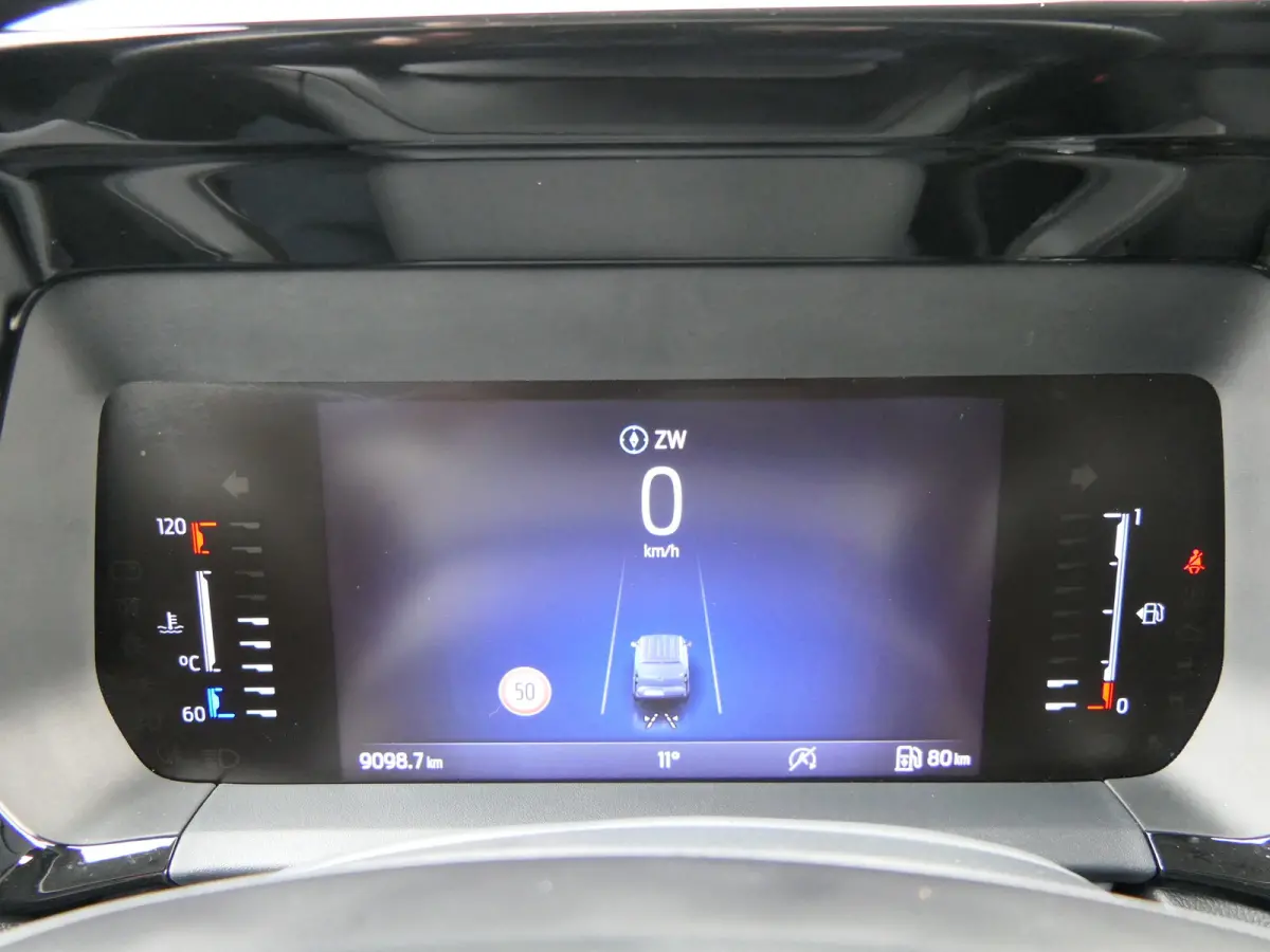 1.0 EcoBoost Trend | Winterpack | Camera | Schuifdeur | CarPlay/Android Auto | Parkeersensoren | Cruise Control | DAB