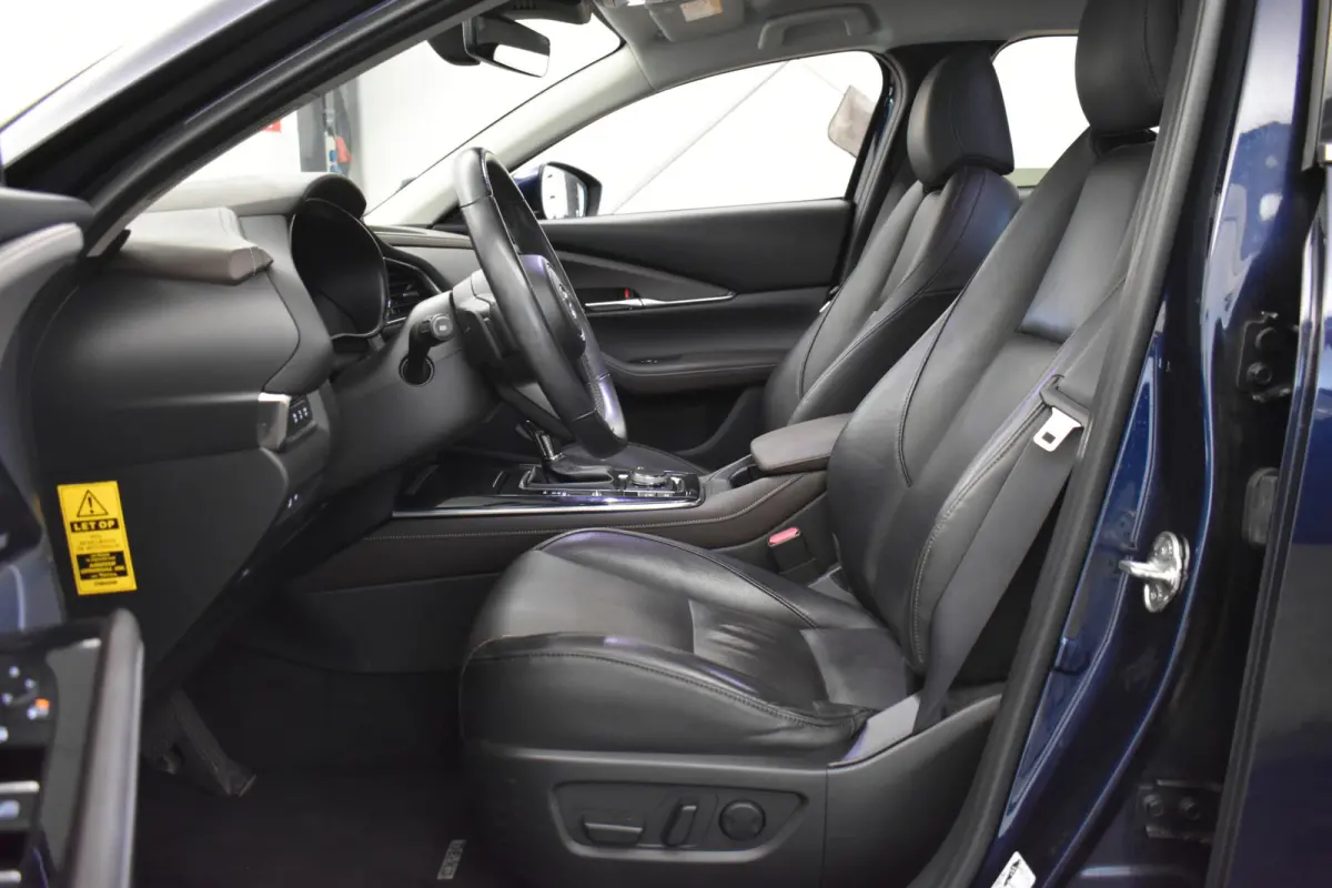 2.0 e-SkyActiv-X M Hybrid Luxury Cam Leer EL aKlep + Stoelen Navi Dhoek Detectie