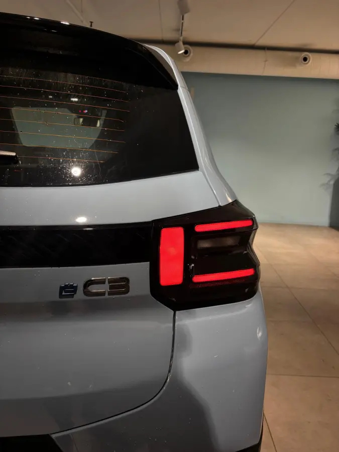 You 113pk 44 kWh NIEUW | DIRECT LEVERBAAR