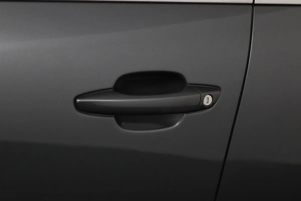 1.2 Business*130PK*ECC*CAM*NAVI*ACC*CARPLAY*