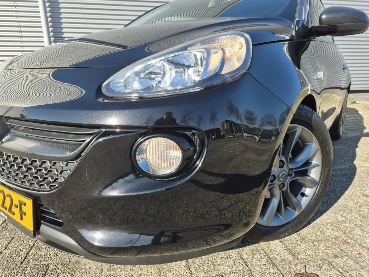 1.0 Turbo Rocks Ilvy Favourite,airco,cruisecontrol,parkeersensoren,