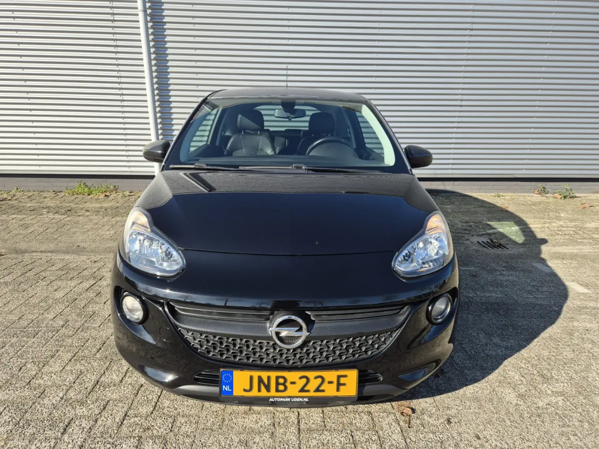 1.0 Turbo Rocks Ilvy Favourite,airco,cruisecontrol,parkeersensoren,