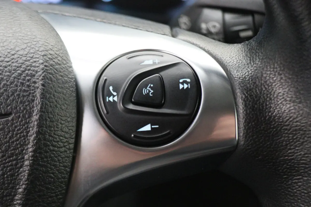 1.5 EcoBlue L2 Automaat Limited Sport 2x Schuifdeur, Leer/Stof, Cruise, Camera, Apple Carplay, DAB, 17''