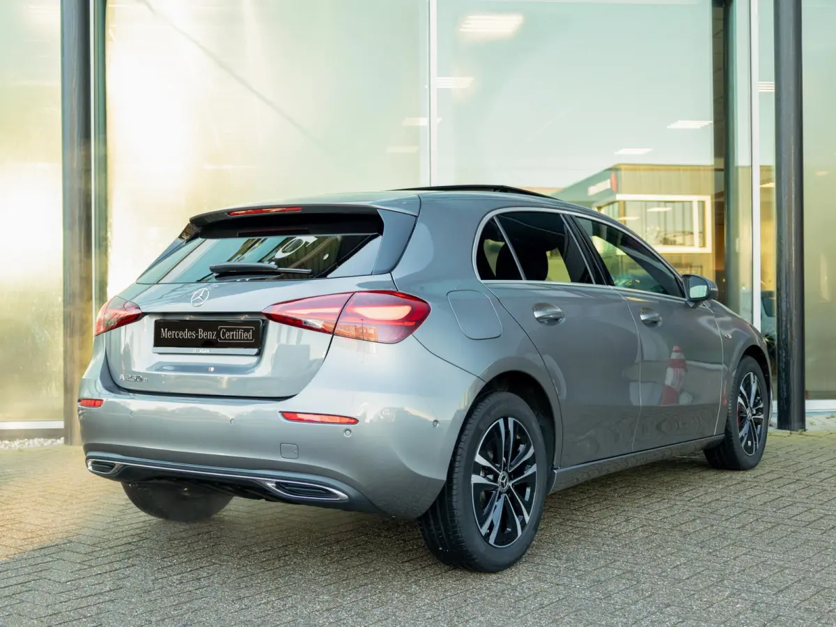 Hatchback 250 e Business Line Panorama dak