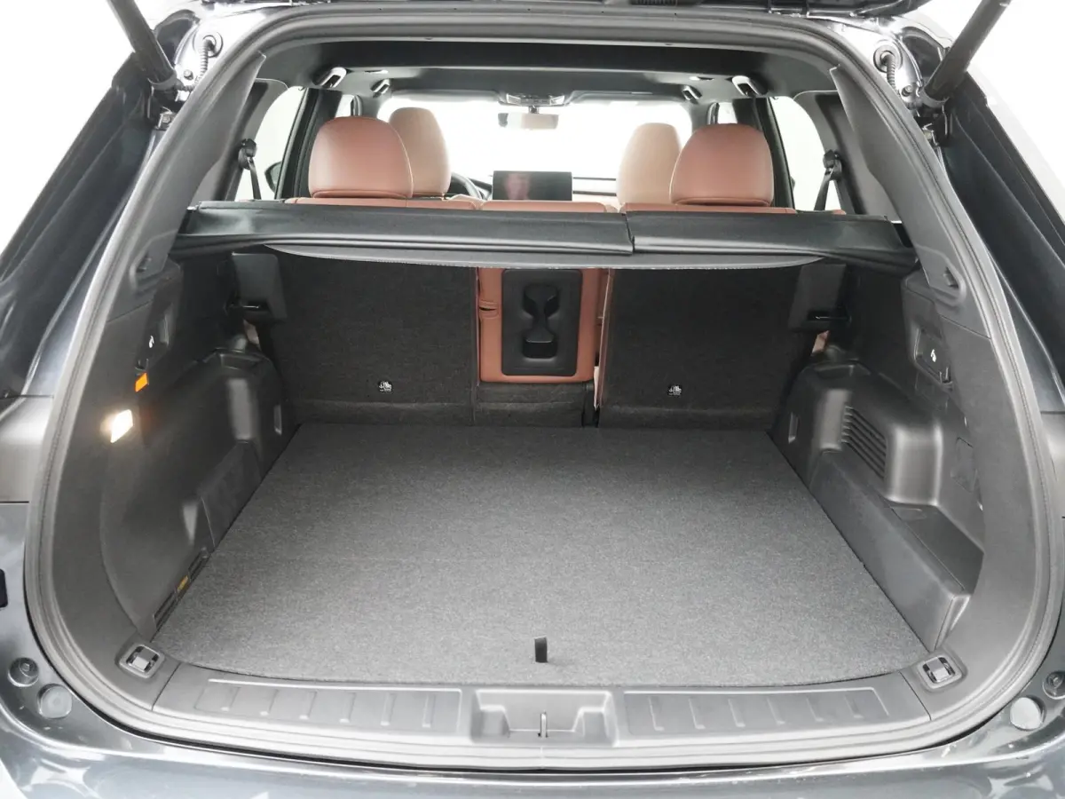 2.4 PHEV Instyle+ | Cognac Leder | Panoramadak | Gevent. Leder |