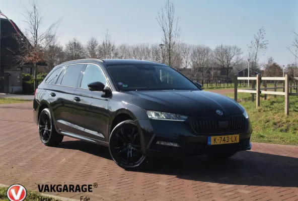 1.0 e-TSI Business Edition | DSG - Automaat | Black Optic | Camera | 18 Inch Zwarte Velgen | NL-Auto |