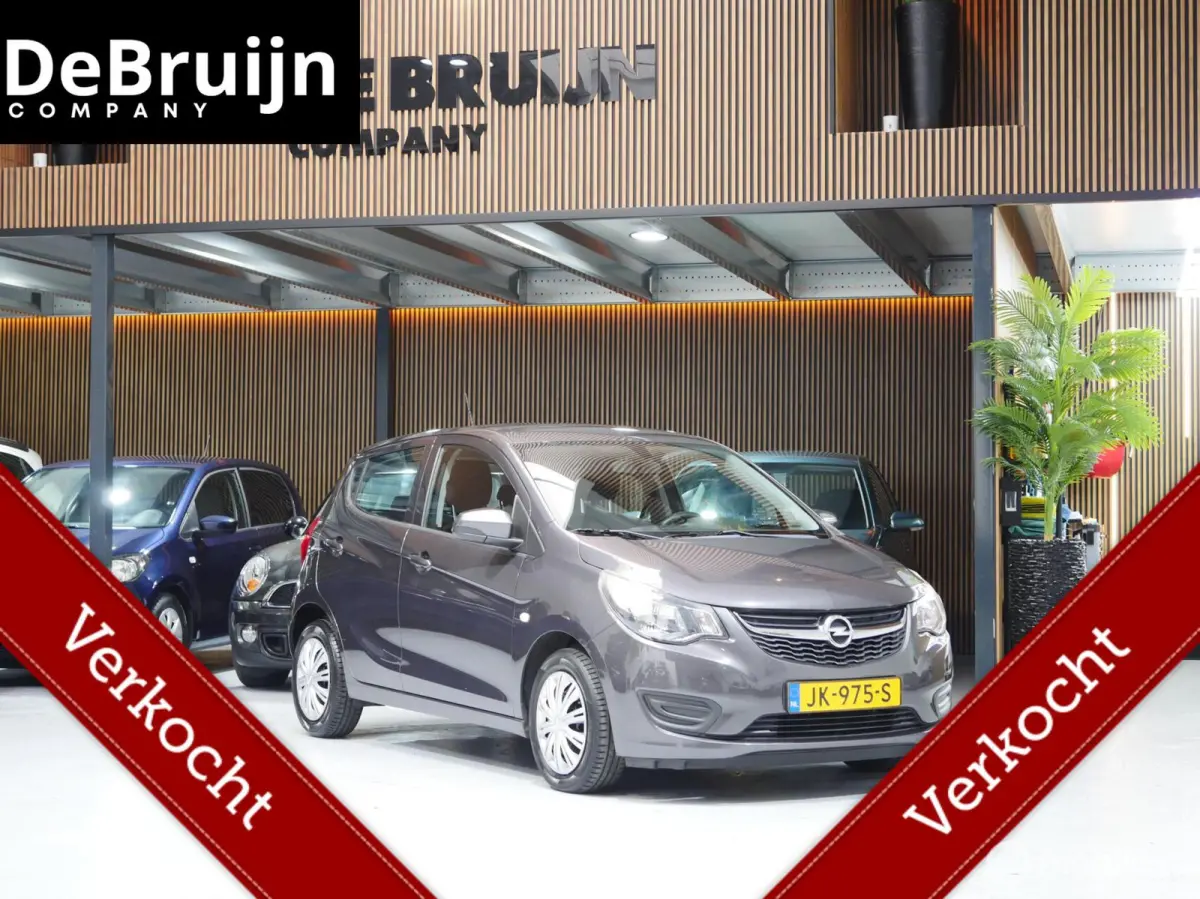1.0 ecoFLEX Edition | APK | Airco | Cruise Control