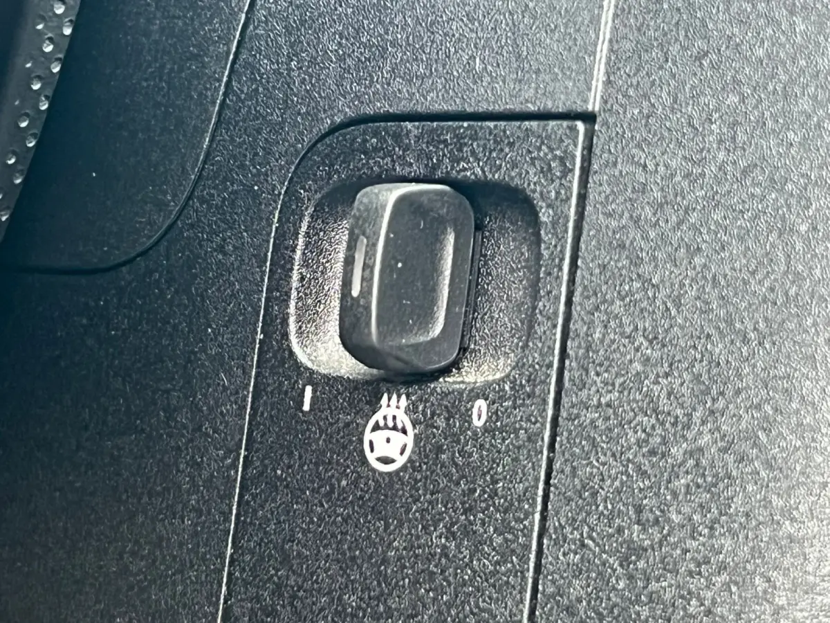 250e AUT8 Premium LEDER SFEER KEY-LESS GO MULTIBEAM 360-CAMERA TREKHAAK