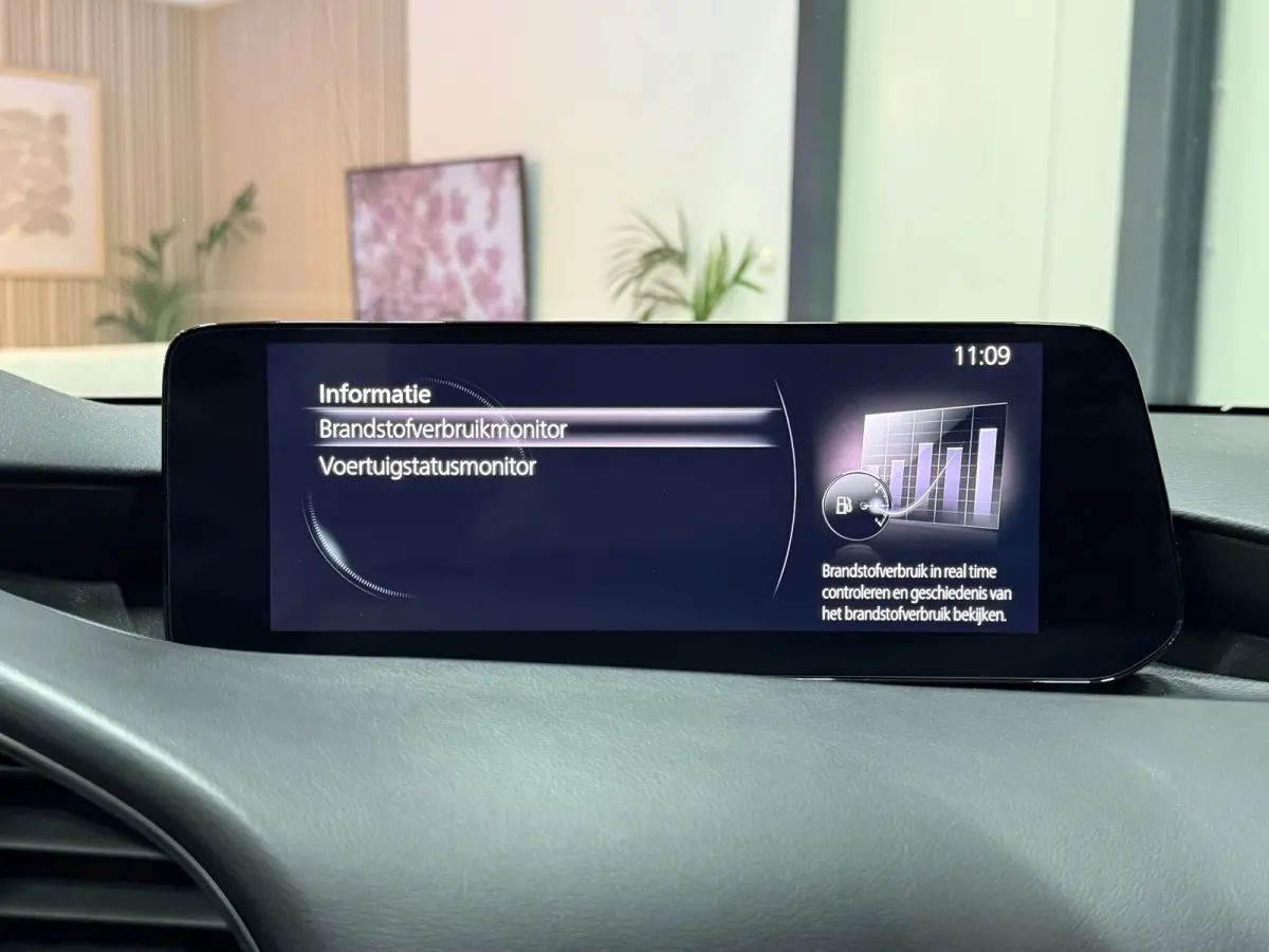 2.0 e-Hybrid 150 Homura Aut. | HUD | Trekhaak | ACC | 18" | Camera