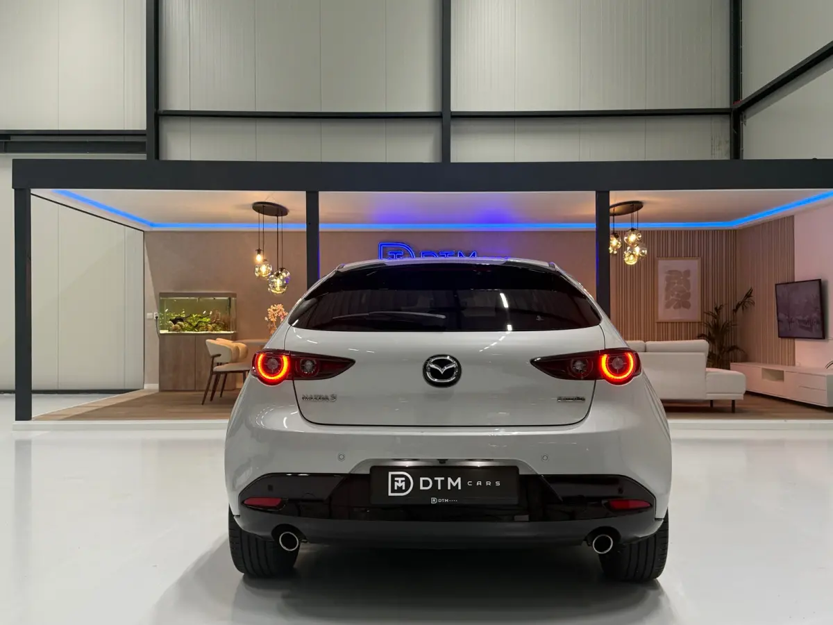 2.0 e-Hybrid 150 Homura Aut. | HUD | Trekhaak | ACC | 18" | Camera
