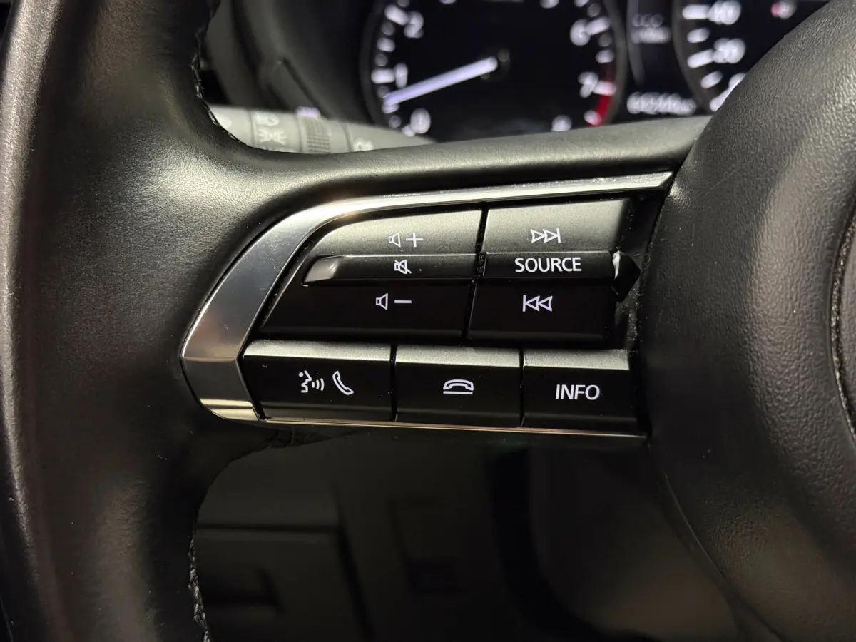2.0 e-Hybrid 150 Homura Aut. | HUD | Trekhaak | ACC | 18" | Camera