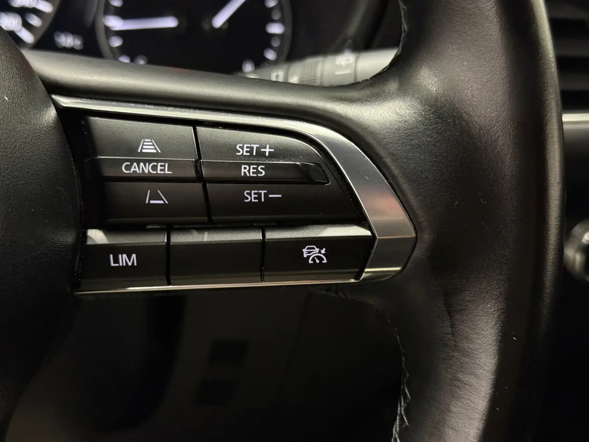 2.0 e-Hybrid 150 Homura Aut. | HUD | Trekhaak | ACC | 18" | Camera