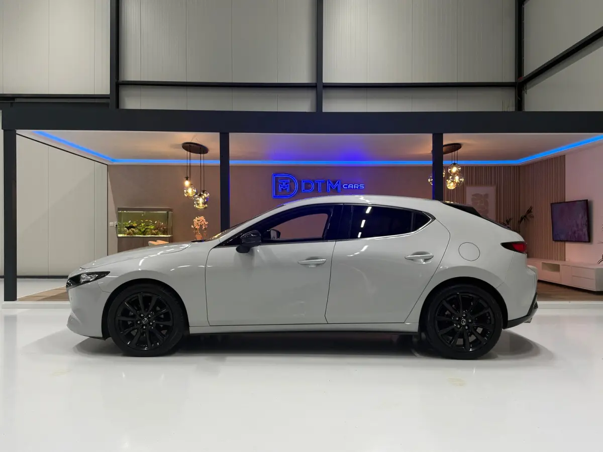 2.0 e-Hybrid 150 Homura Aut. | HUD | Trekhaak | ACC | 18" | Camera
