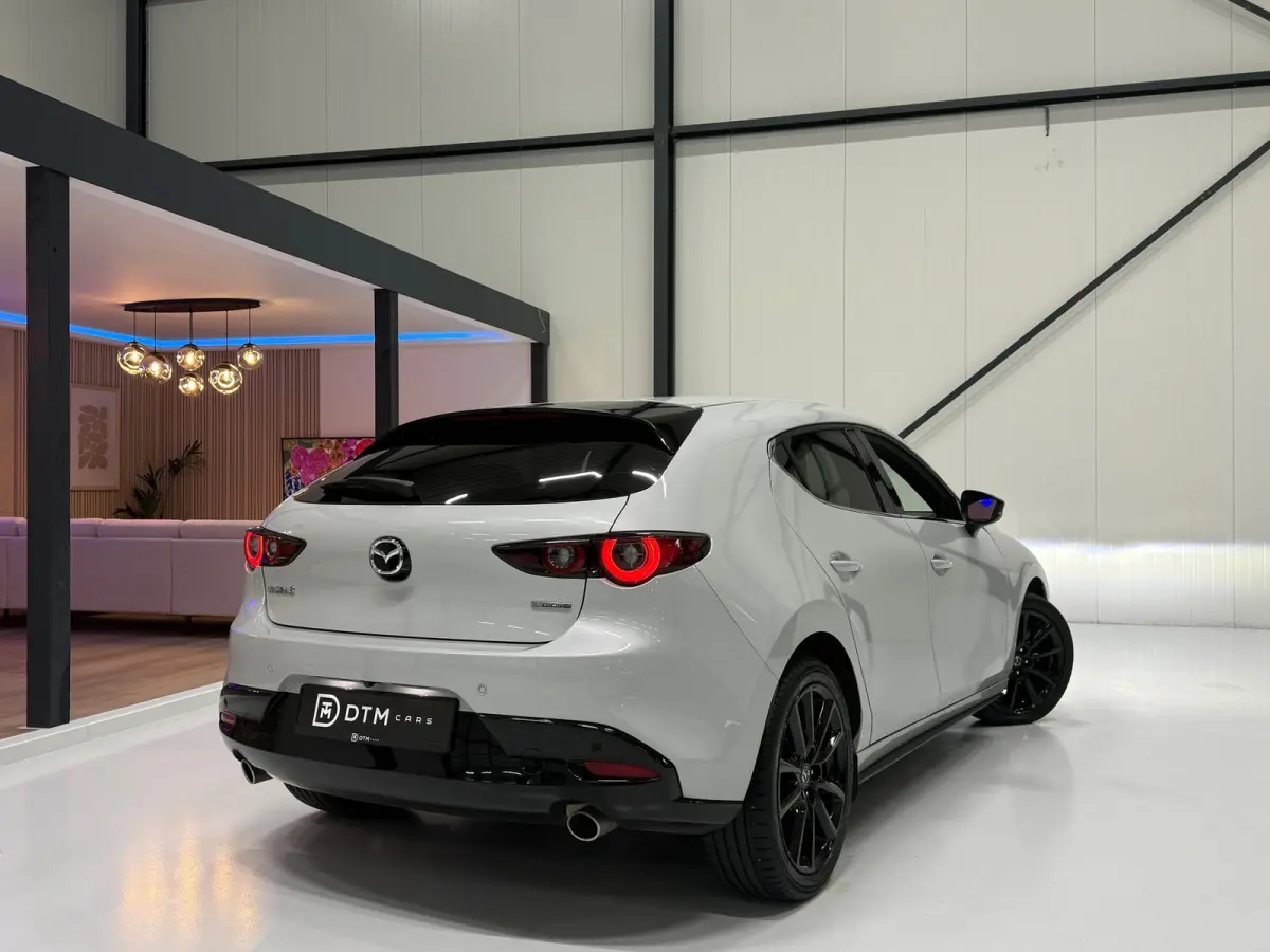 2.0 e-Hybrid 150 Homura Aut. | HUD | Trekhaak | ACC | 18" | Camera