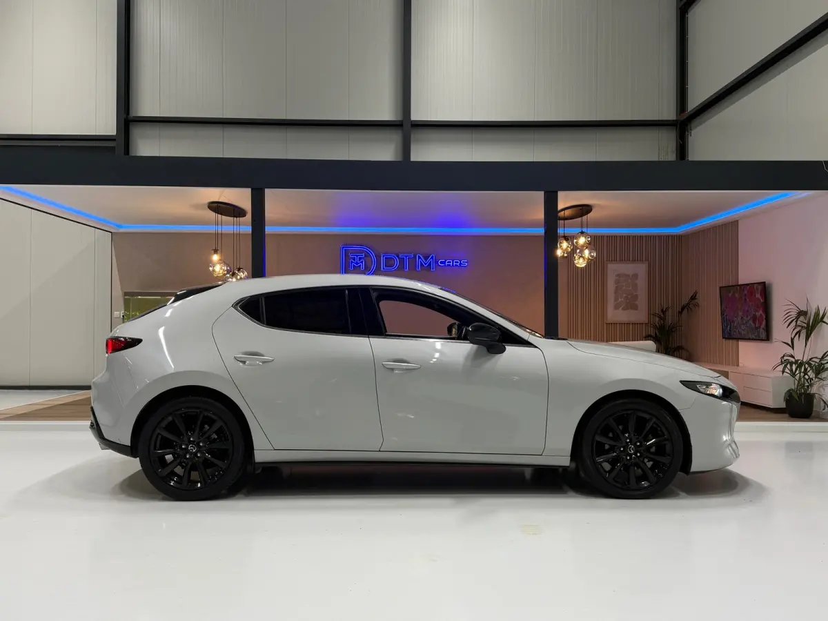 2.0 e-Hybrid 150 Homura Aut. | HUD | Trekhaak | ACC | 18" | Camera