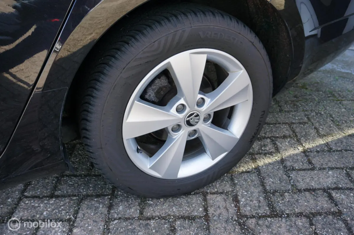 1.0 TSI 115pk DSG Ambition Business
