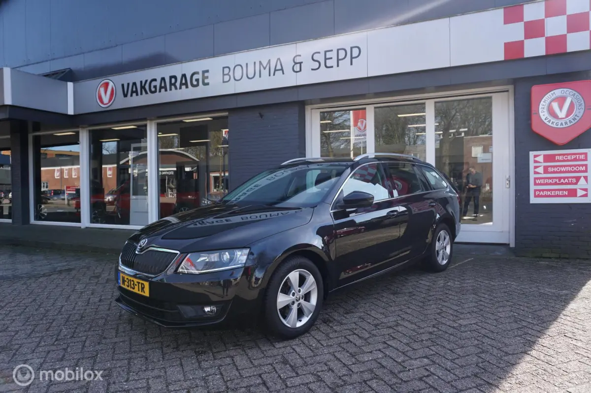 1.0 TSI 115pk DSG Ambition Business