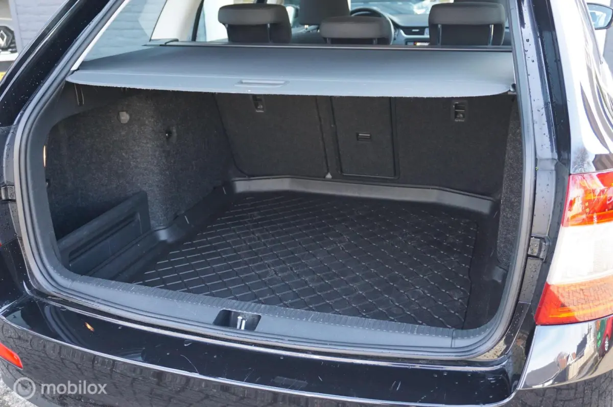 1.0 TSI 115pk DSG Ambition Business