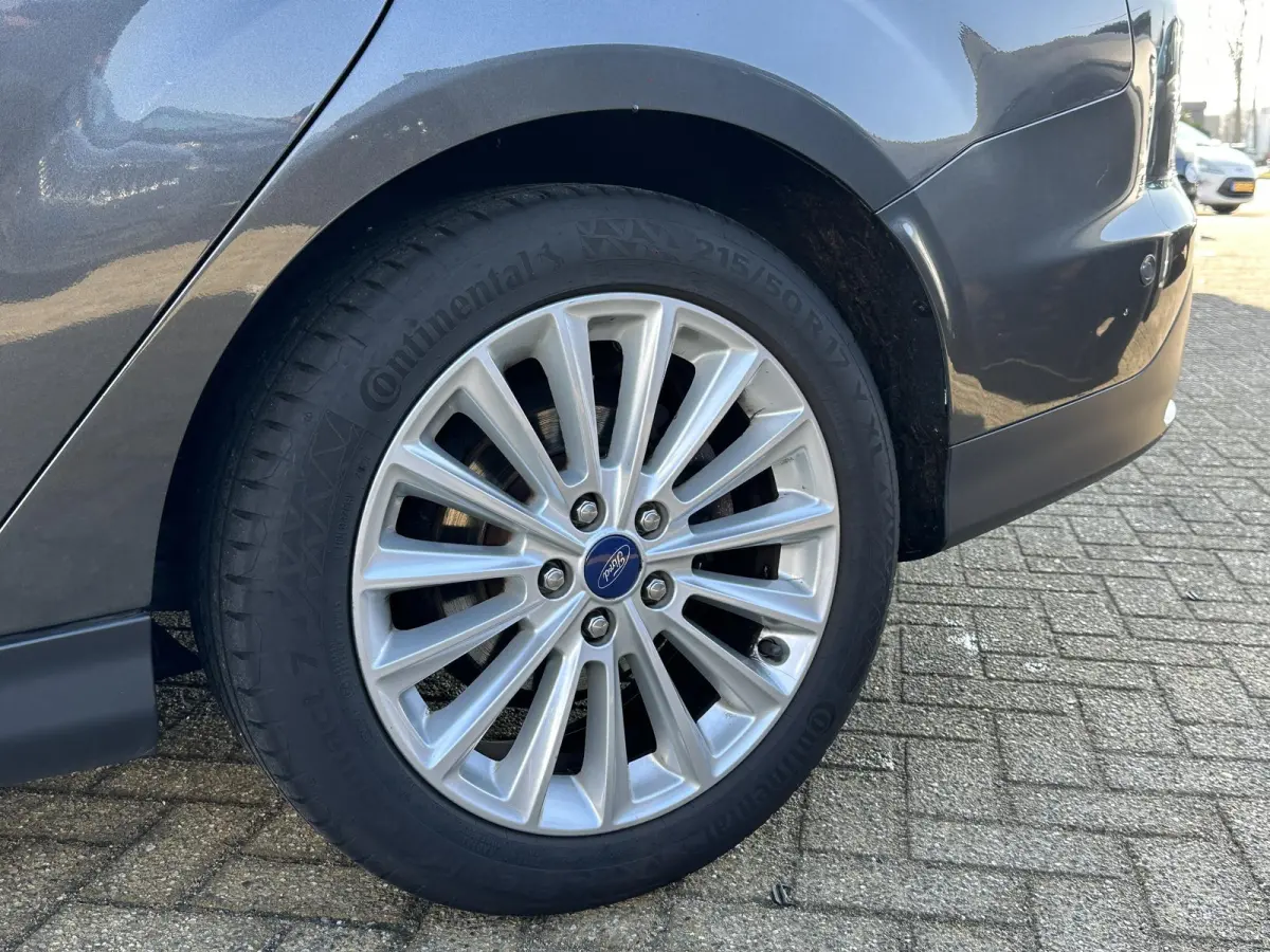 1.0 Titanium 125PK | Zeer Nette Staat | 2e Eigenaar | NL AUTO | Nieuwe D-riem 2026 | Grote Beurt 2026 | Parkeersensoren Voor en Achter | Navigatie | Climate Control | Cruise Control | NAP |