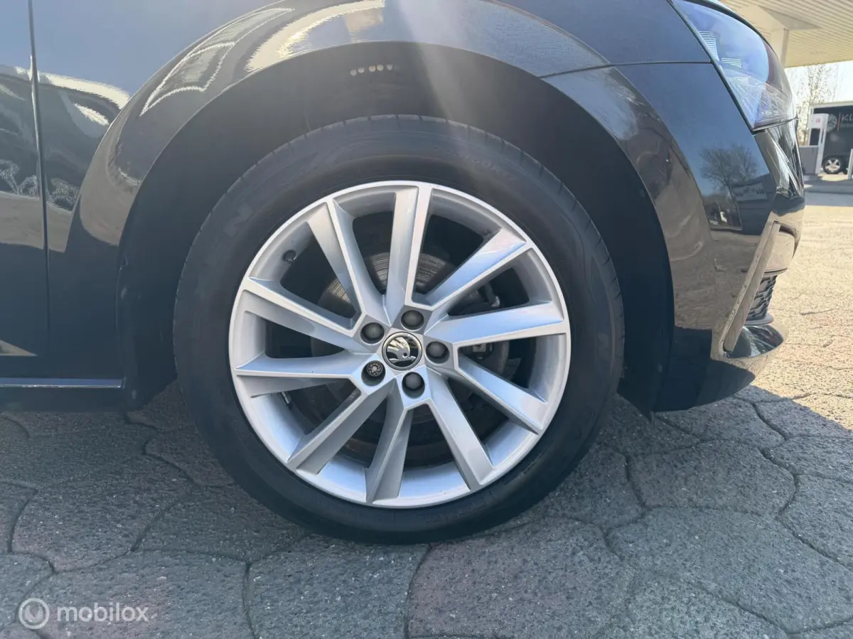 1.0 TSI Sport Business Clima | Cruise | Virtual