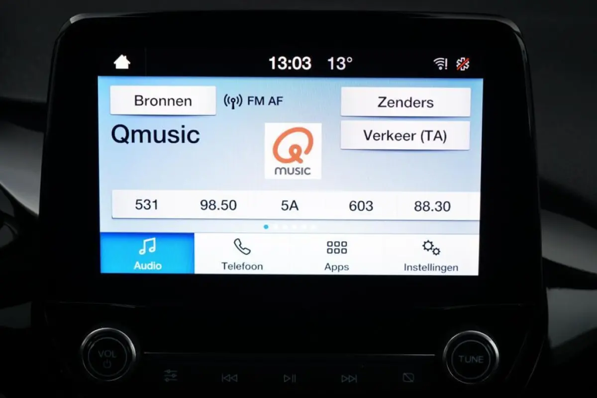 1.0 EcoBoost Titanium, NL, clima, PDC, cruise