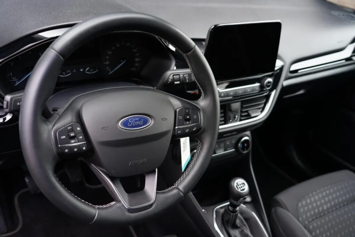 1.0 EcoBoost Titanium, NL, clima, PDC, cruise