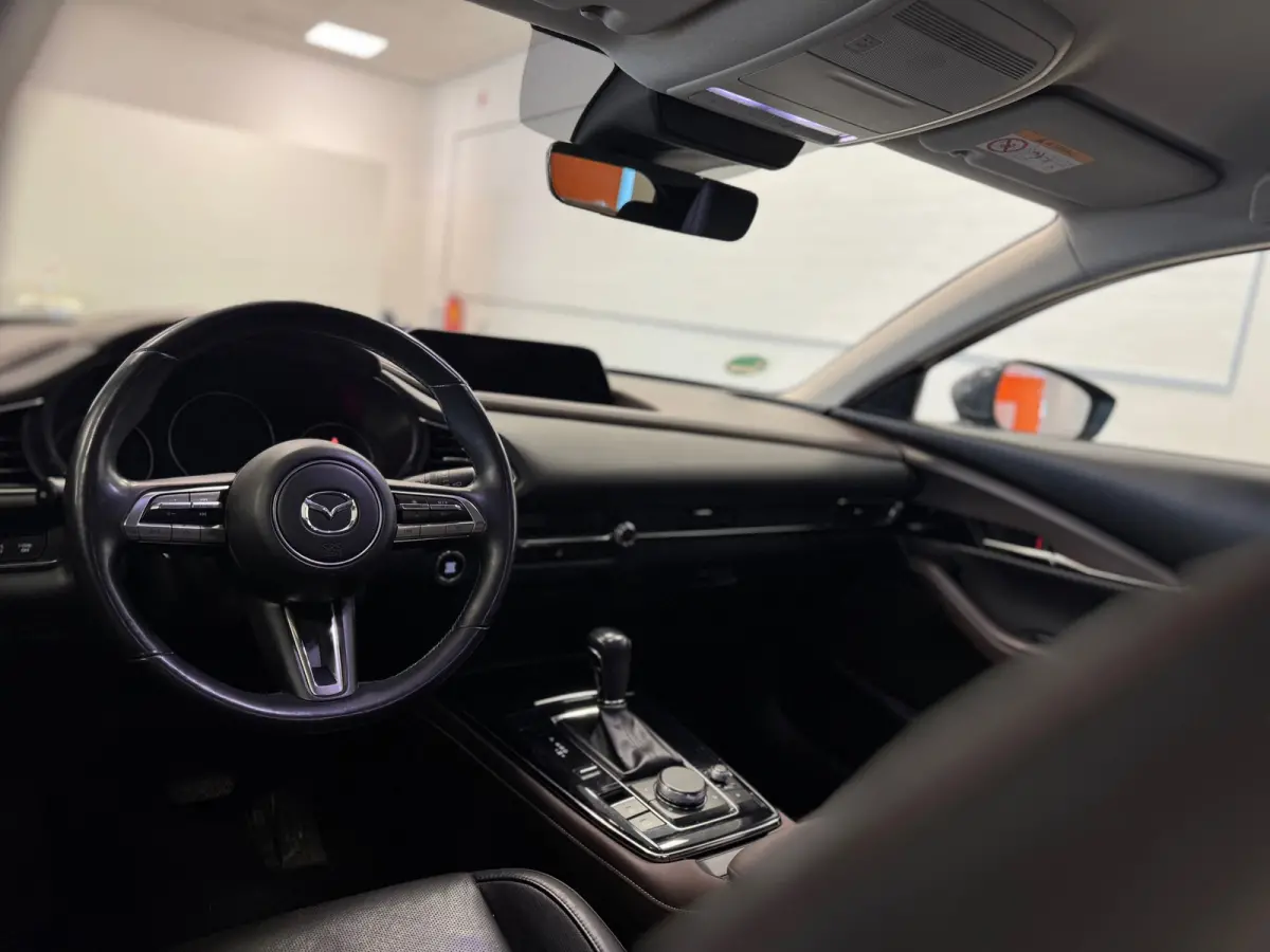 2.0 e-SkyActiv-X M Hybrid Luxury Trekhaak 1e Eigenaar Leer