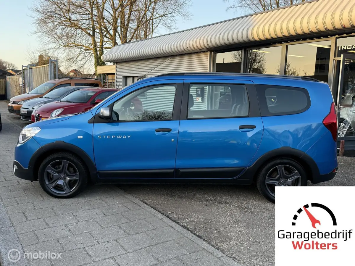 1.2 TCe Stepway CRUISE NAVI CAMERA PARK.SENS.