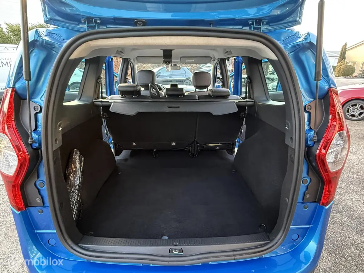 1.2 TCe Stepway CRUISE NAVI CAMERA PARK.SENS.