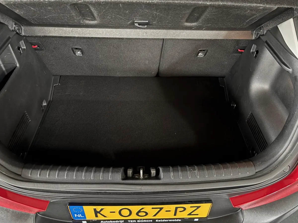 1.0 T-GDi MHEV DynamicLine , camera, all-seasen