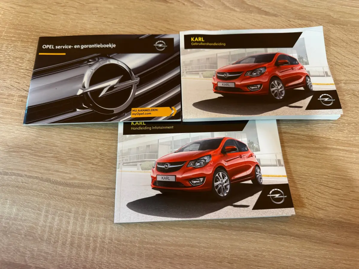 1.0 ecoFLEX Edition 100% Onderhouden 2e Eigenaar