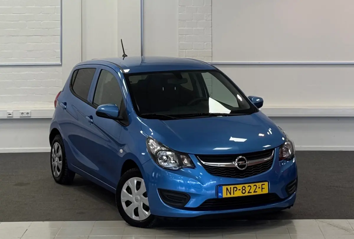 1.0 ecoFLEX Edition 100% Onderhouden 2e Eigenaar