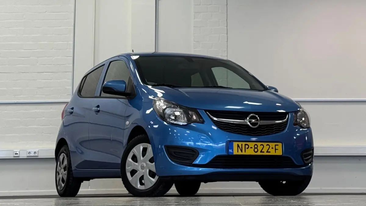 1.0 ecoFLEX Edition 100% Onderhouden 2e Eigenaar