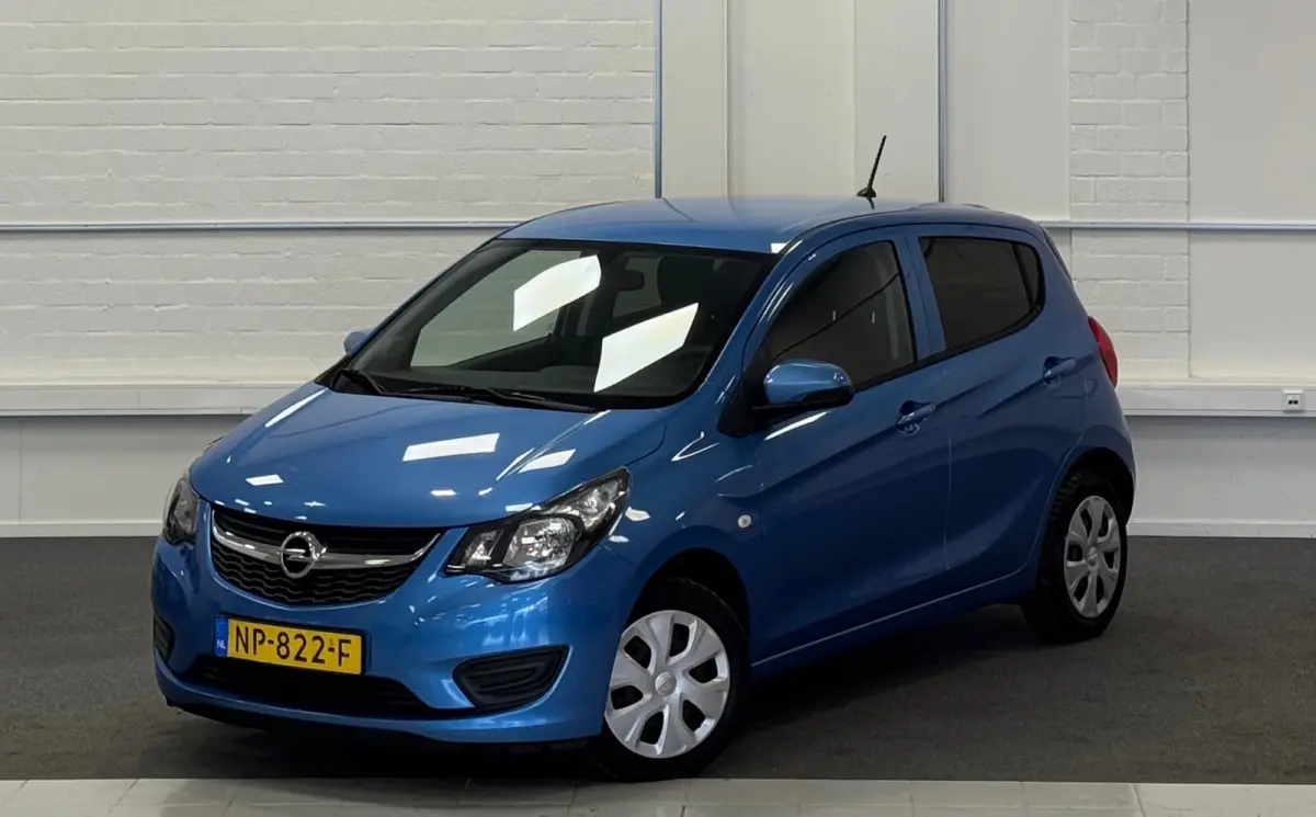 1.0 ecoFLEX Edition 100% Onderhouden 2e Eigenaar