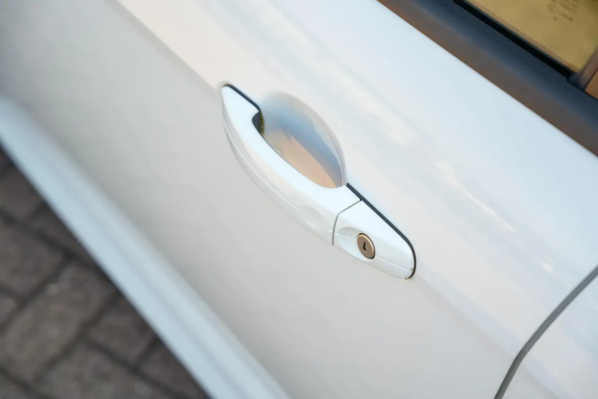 2.0 ST-3 250 pk Keyless Stuurverw. Cruise Clima 18''LM