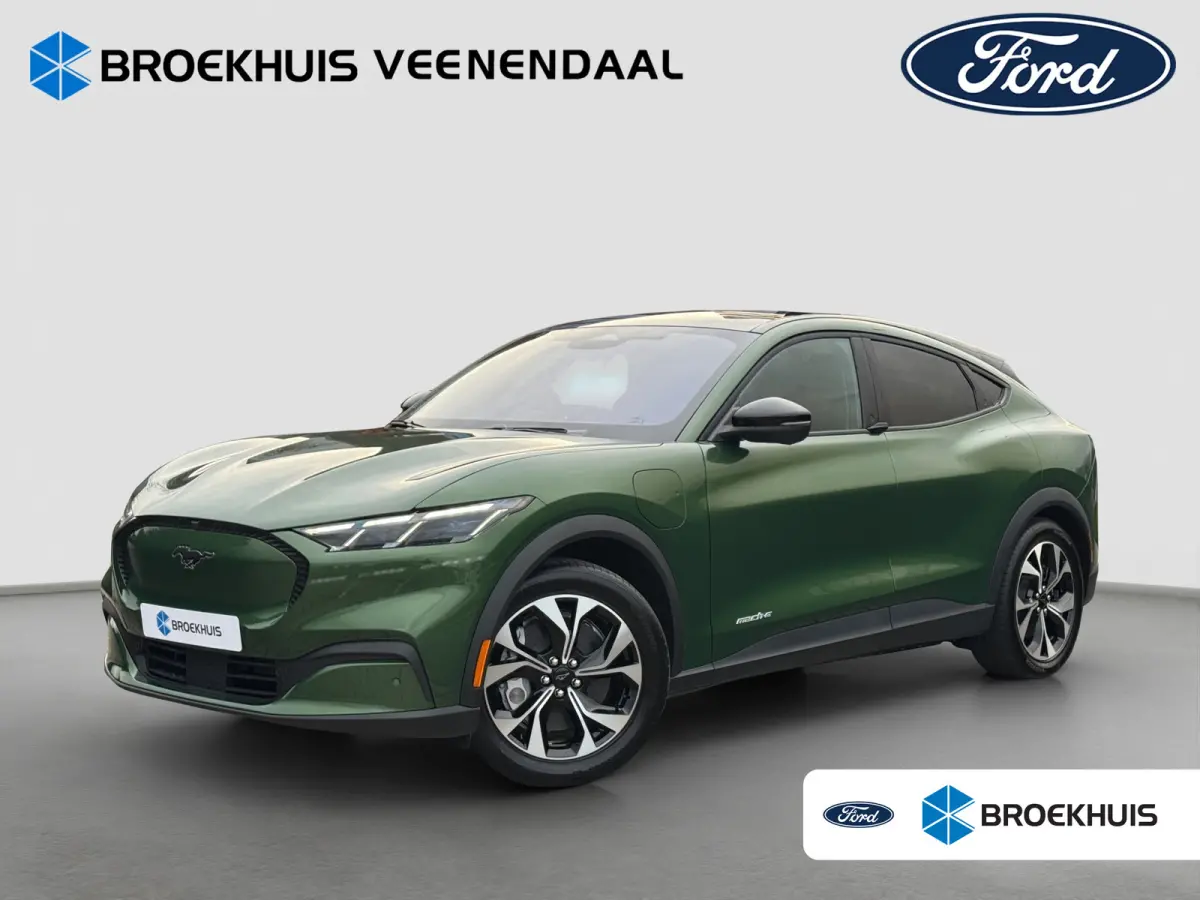 Standard RWD 75 kWh | Achteruitrijcamera | Cruise control adaptief met Stop&Go en stuurhulp | Elektrisch bedienbare achterklep met sensorsturing