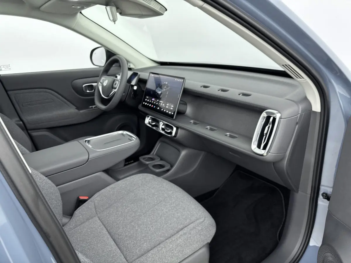 Life ProMax 67.1 kWh | Meerdere Kleuren Leverbaar |  Camera | Navigatie | Carplay | Panoramadak |