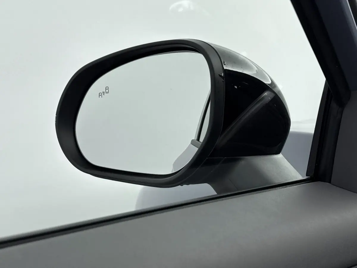 Life ProMax 67.1 kWh | Meerdere Kleuren Leverbaar |  Camera | Navigatie | Carplay | Panoramadak |