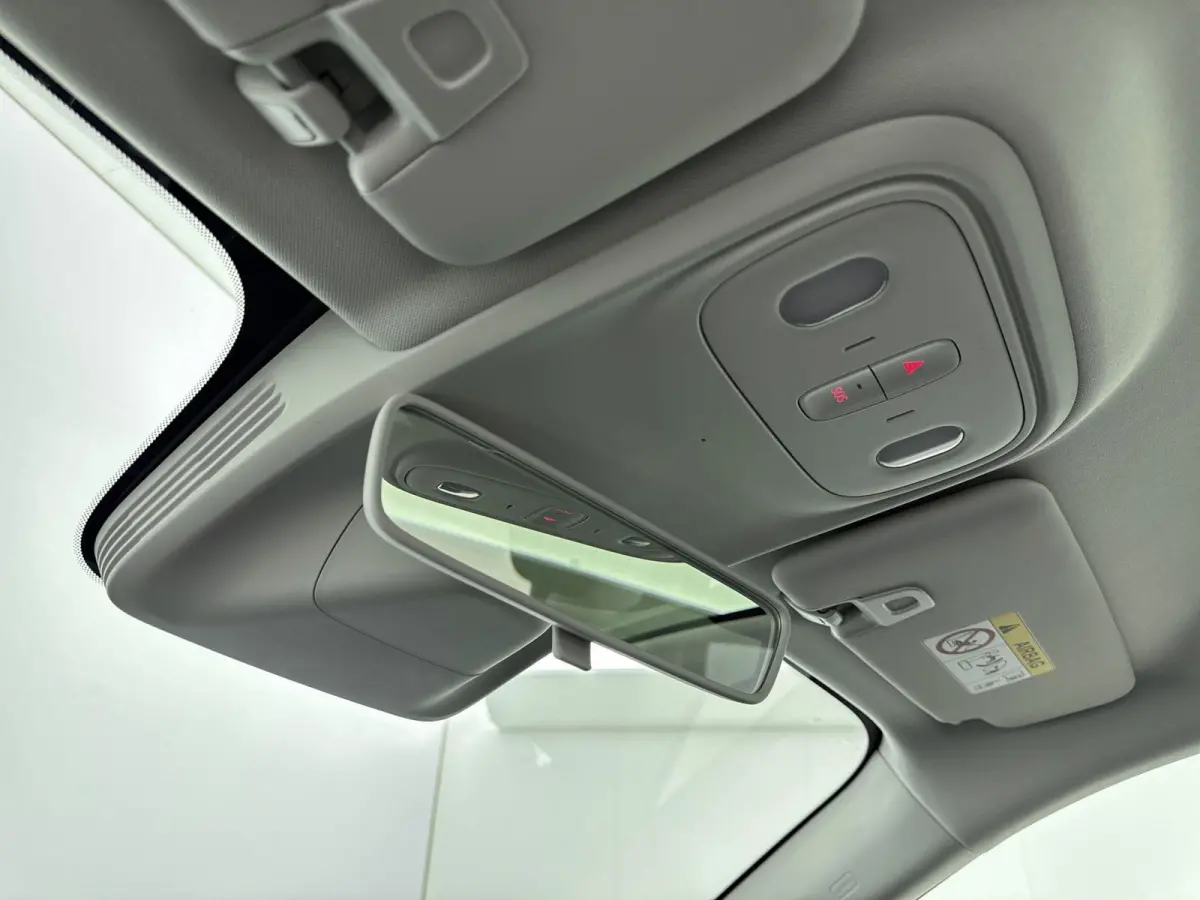 Life ProMax 67.1 kWh | Meerdere Kleuren Leverbaar |  Camera | Navigatie | Carplay | Panoramadak |