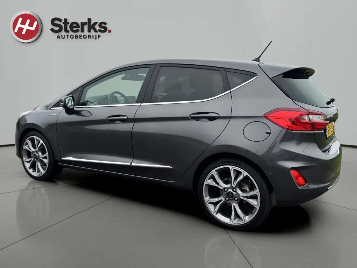 1.0 EcoBoost Vignale 125 PK WINTER PAKKET LEDER CAMERA PARKEERHULP