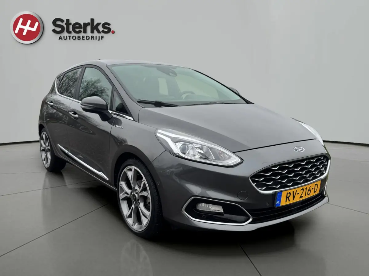 1.0 EcoBoost Vignale 125 PK WINTER PAKKET LEDER CAMERA PARKEERHULP