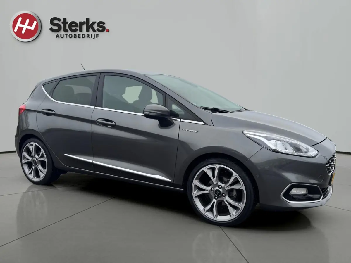1.0 EcoBoost Vignale 125 PK WINTER PAKKET LEDER CAMERA PARKEERHULP
