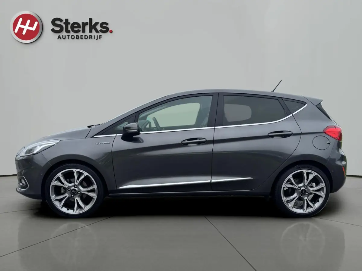 1.0 EcoBoost Vignale 125 PK WINTER PAKKET LEDER CAMERA PARKEERHULP