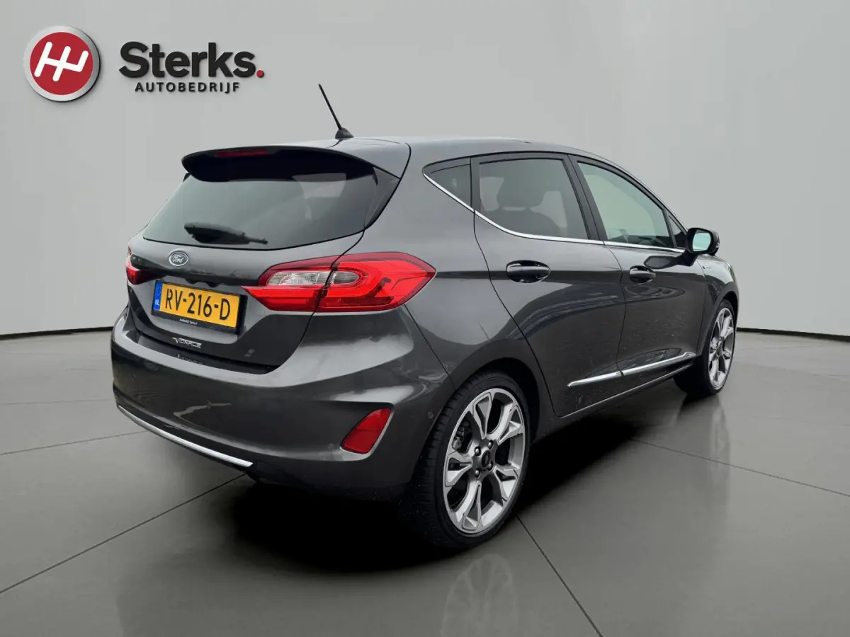 1.0 EcoBoost Vignale 125 PK WINTER PAKKET LEDER CAMERA PARKEERHULP