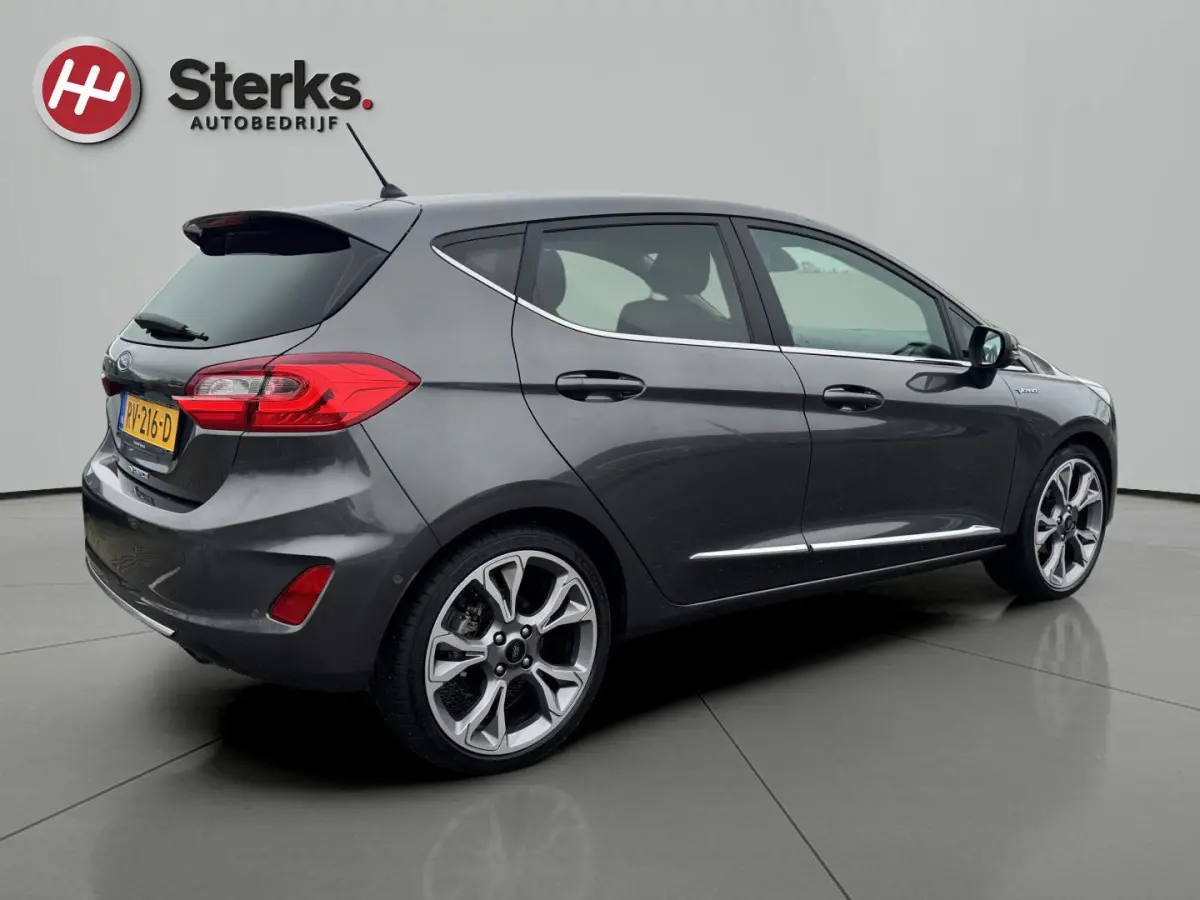 1.0 EcoBoost Vignale 125 PK WINTER PAKKET LEDER CAMERA PARKEERHULP