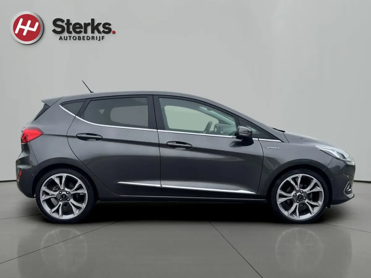 1.0 EcoBoost Vignale 125 PK WINTER PAKKET LEDER CAMERA PARKEERHULP